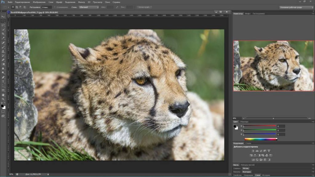 Adobe Photoshopの拡張CS6