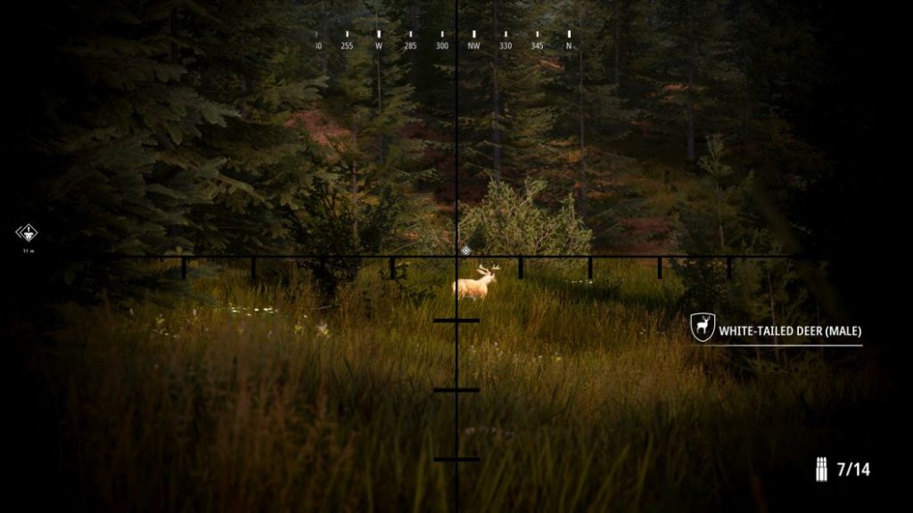 Simulador de caza 2